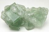 Green Cubic Fluorite Crystals with Phantoms - China #216316-2